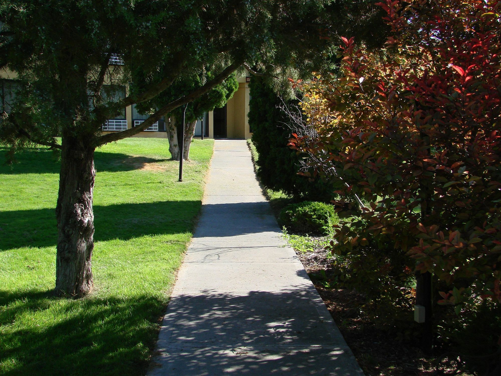 Econo Lodge Near Snake River Idaho Falls Luaran gambar